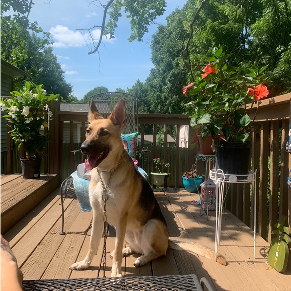 Meet your Posher, Amanda - Picture 10 of 16